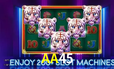 Flash Promotion AA45